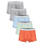 Boys Tear Away Underwear - 5 Pcs
