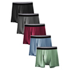 Men's Underwear - 5 Pcs